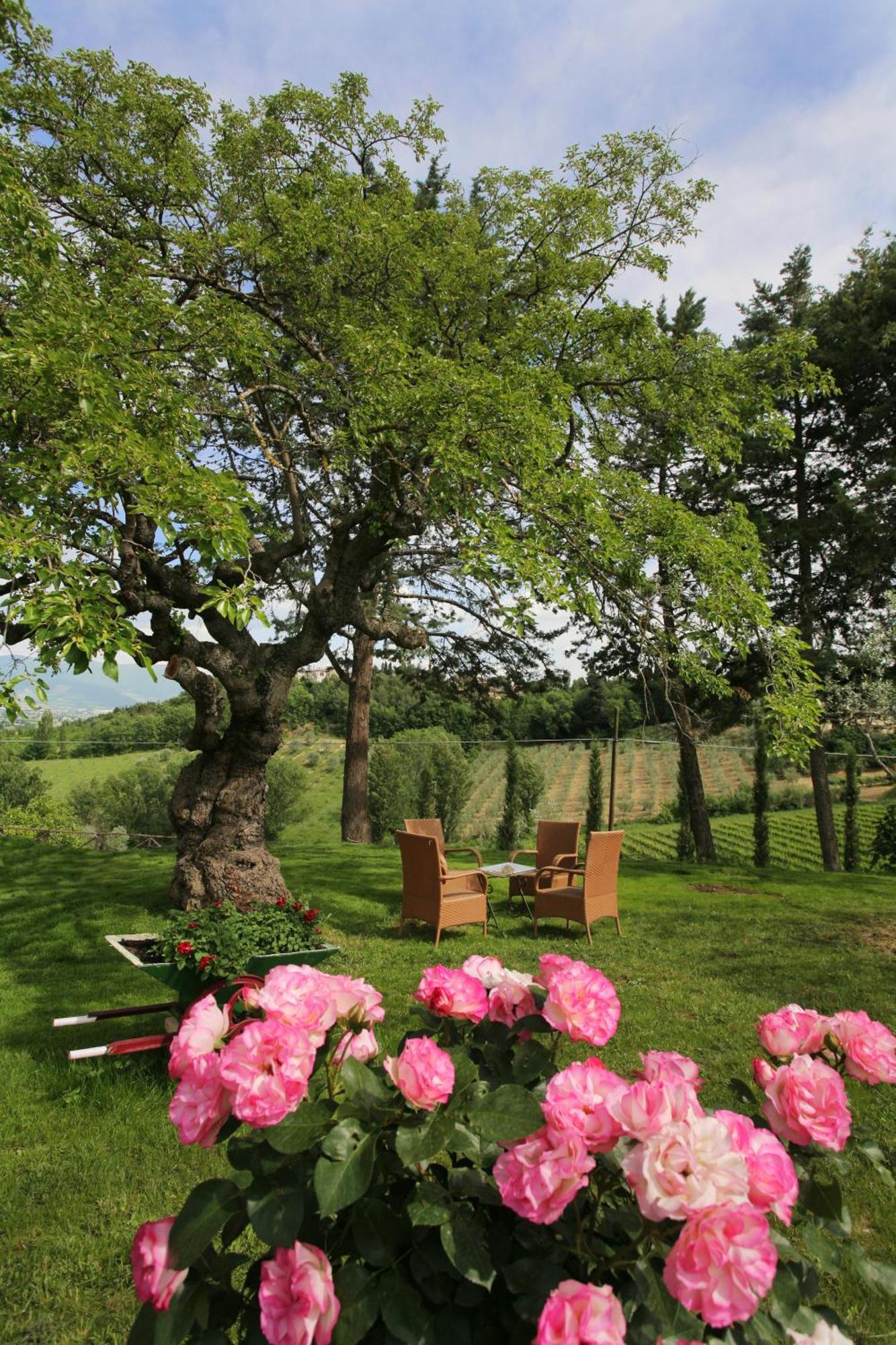 La Tenuta Dei Ricordi Castel Ritaldi Kültér fotó
